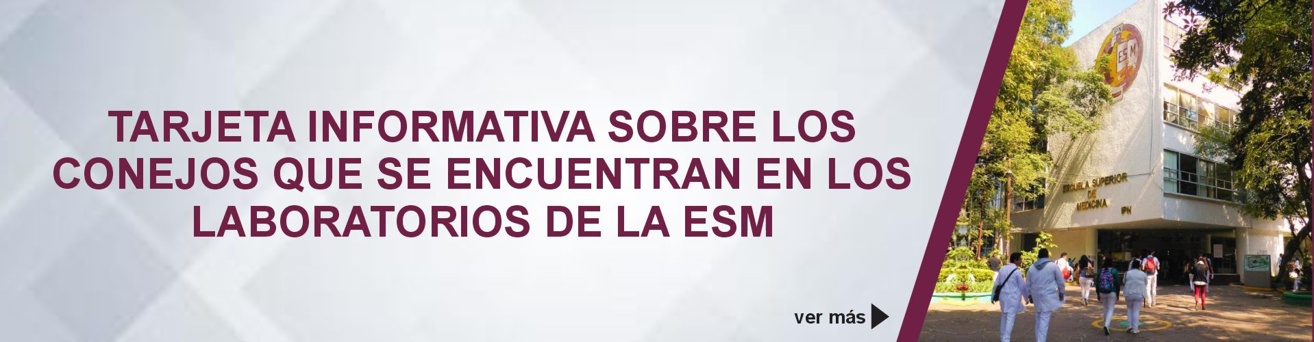 aviso
