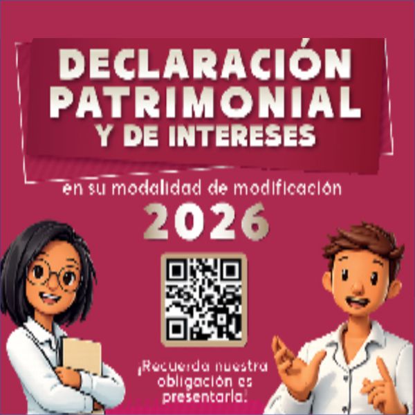 Declaración Patrimonial
